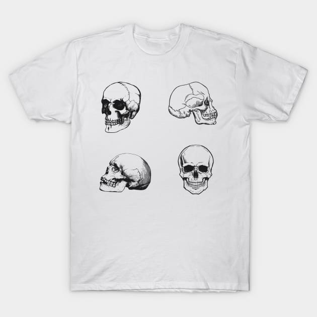 Anatomy Skulls Pack T-Shirt by Illume Stickers